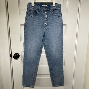 PacSun // Button fly // High Rise Boyfriend Jeans